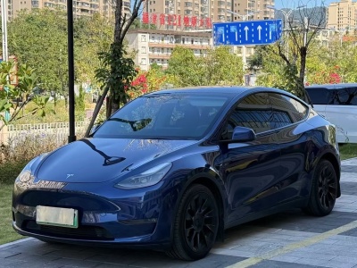 2021年06月 特斯拉 Model Y 長續(xù)航全輪驅(qū)動版 3D7圖片