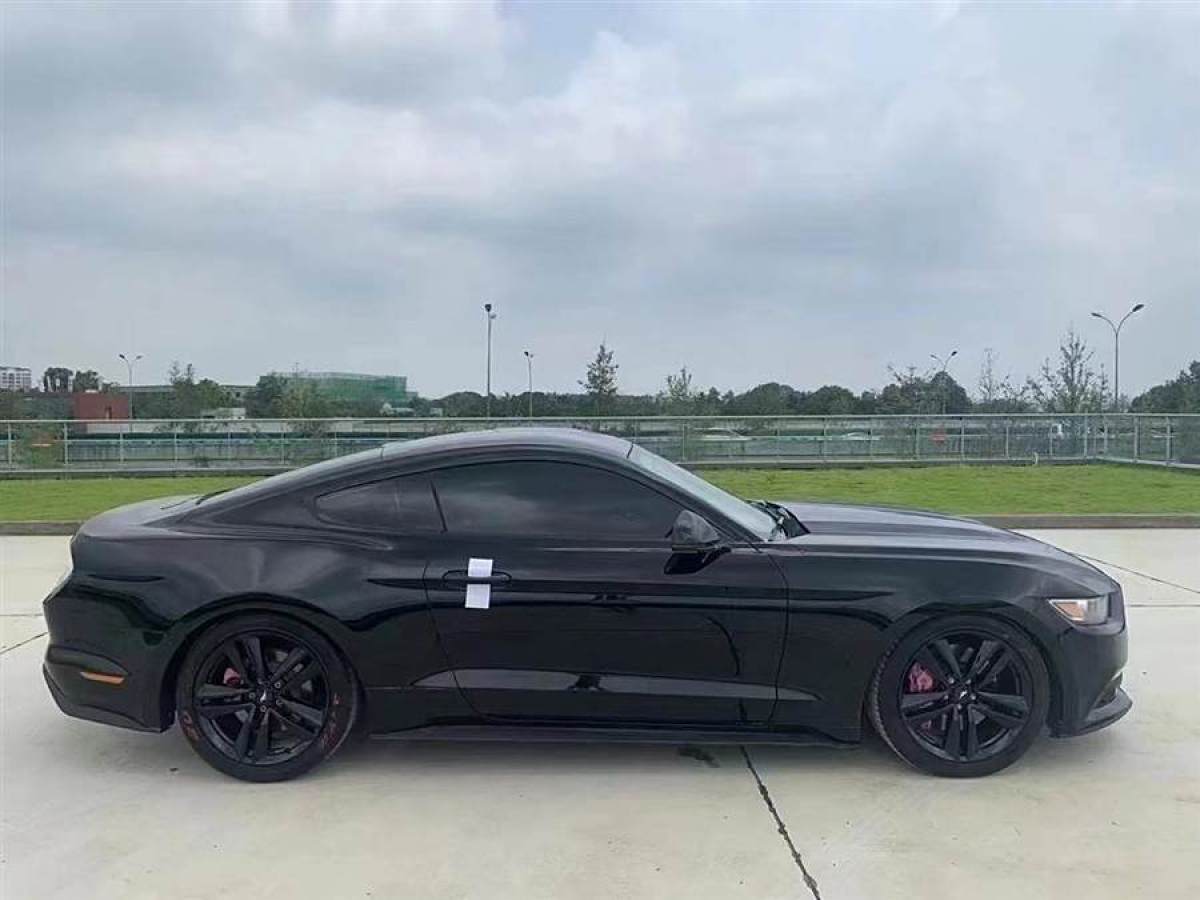 福特 Mustang  2015款 2.3T 性能版圖片