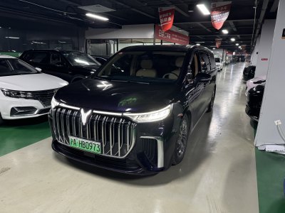 2024年1月 岚图 梦想家 PHEV 超长续航旗舰版图片