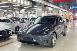 Model Y 特斯拉 改款 后輪驅(qū)動(dòng)版