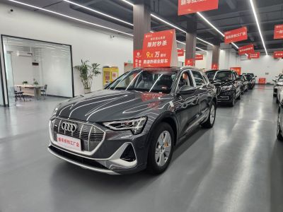 2024年6月 奥迪 奥迪e-tron 50 quattro 豪华型图片