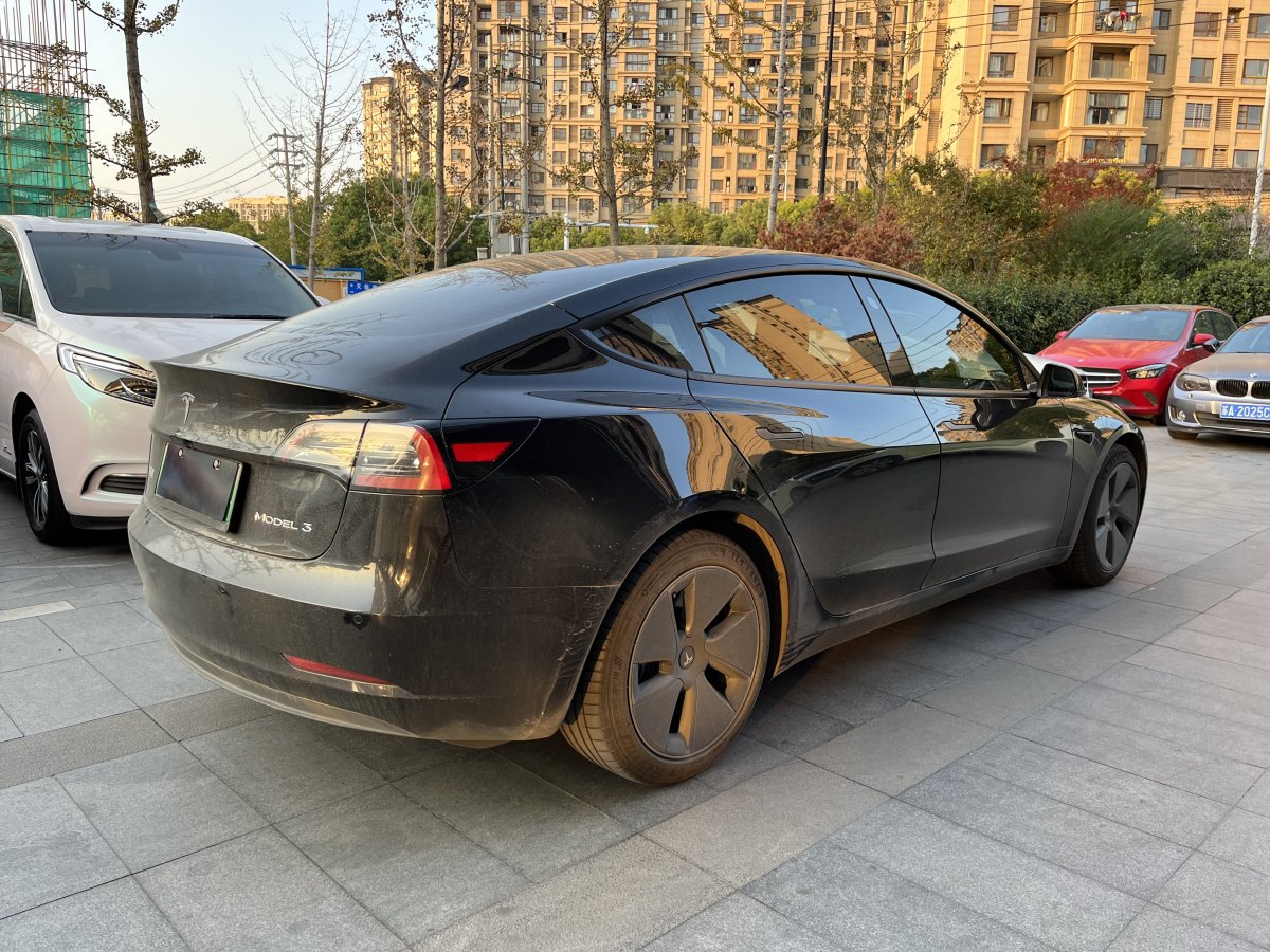 特斯拉 Model 3  2021款 標(biāo)準(zhǔn)續(xù)航后驅(qū)升級(jí)版 3D6圖片