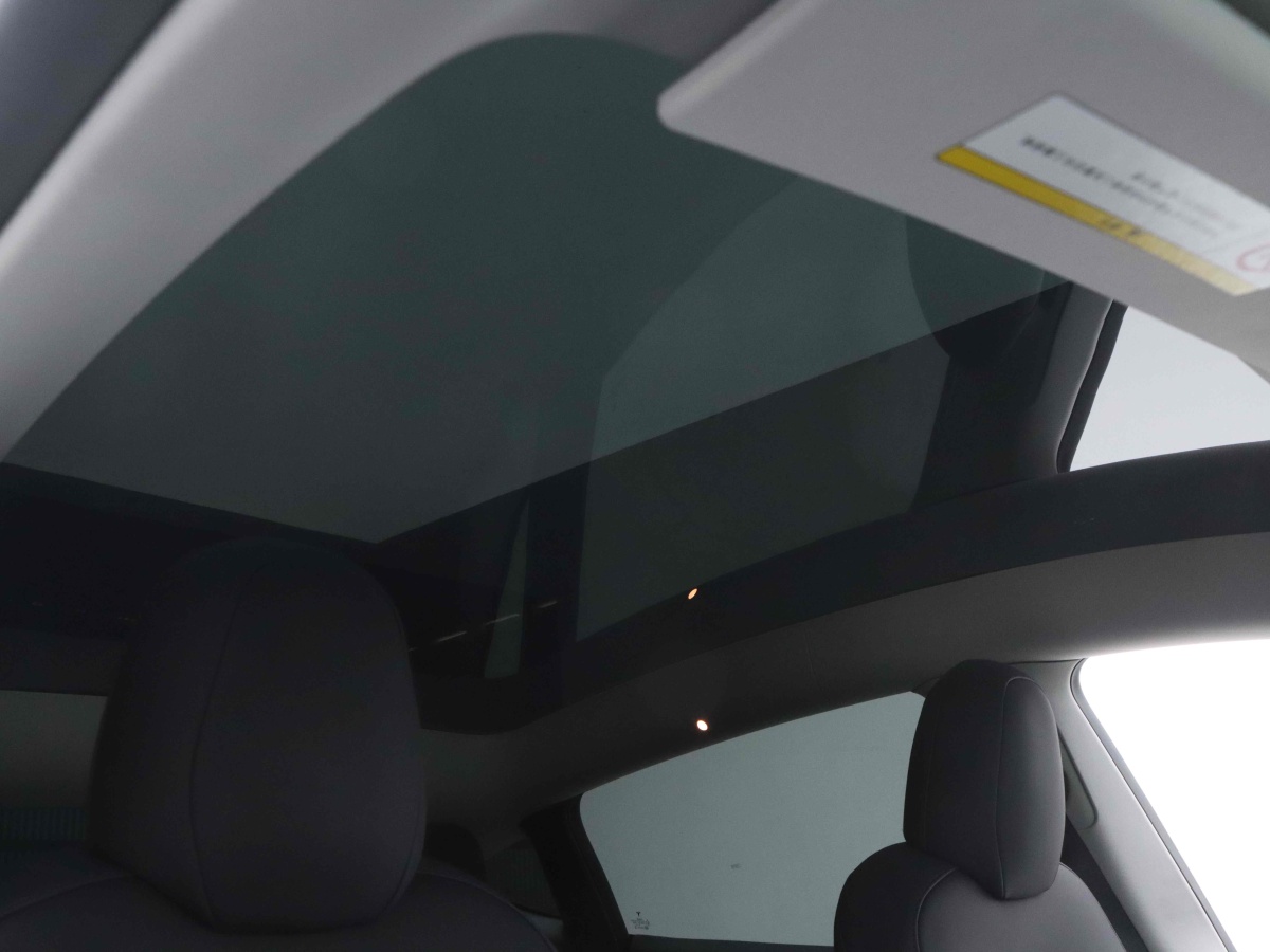 特斯拉 Model Y  2021款 標(biāo)準(zhǔn)續(xù)航后驅(qū)版圖片