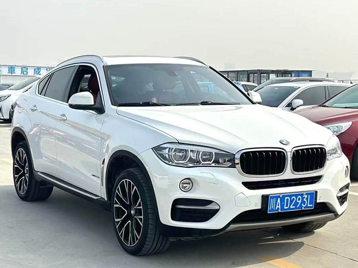 寶馬 寶馬X6  2018款 xDrive35i 領(lǐng)先型圖片