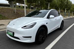 Model Y 特斯拉 改款 后轮驱动版