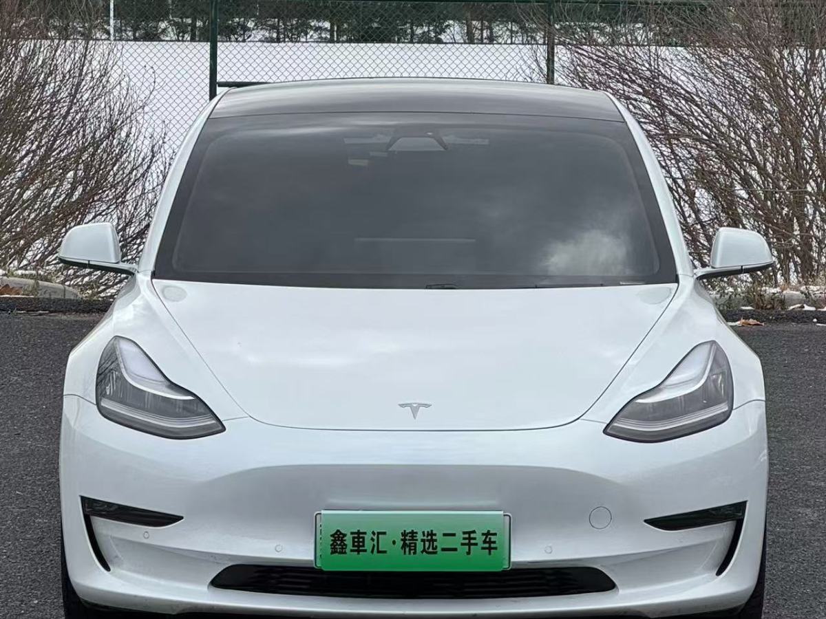 特斯拉 Model 3  2020款 改款 長(zhǎng)續(xù)航后輪驅(qū)動(dòng)版圖片