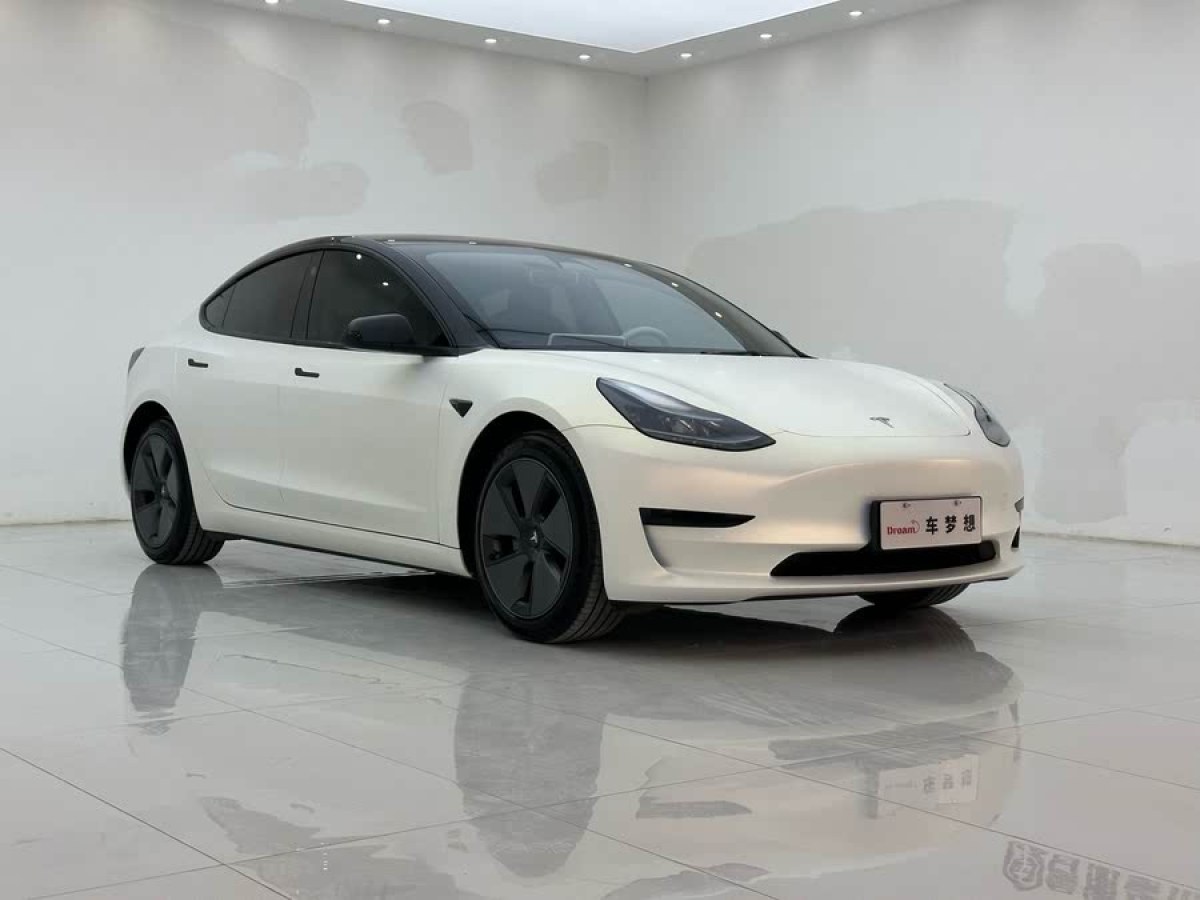 特斯拉 Model 3  2022款 后輪驅(qū)動(dòng)版圖片