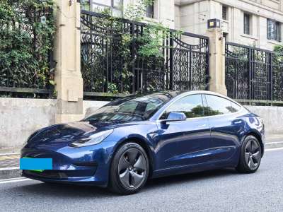 2020年6月 特斯拉 Model 3 标准续航后驱升级版图片