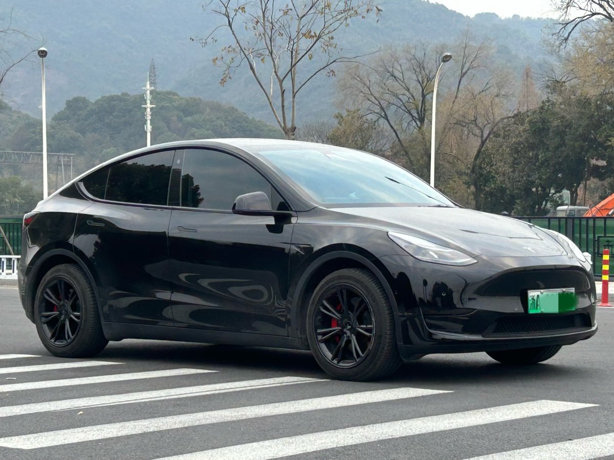 特斯拉 Model 3  2022款 后輪驅(qū)動版圖片