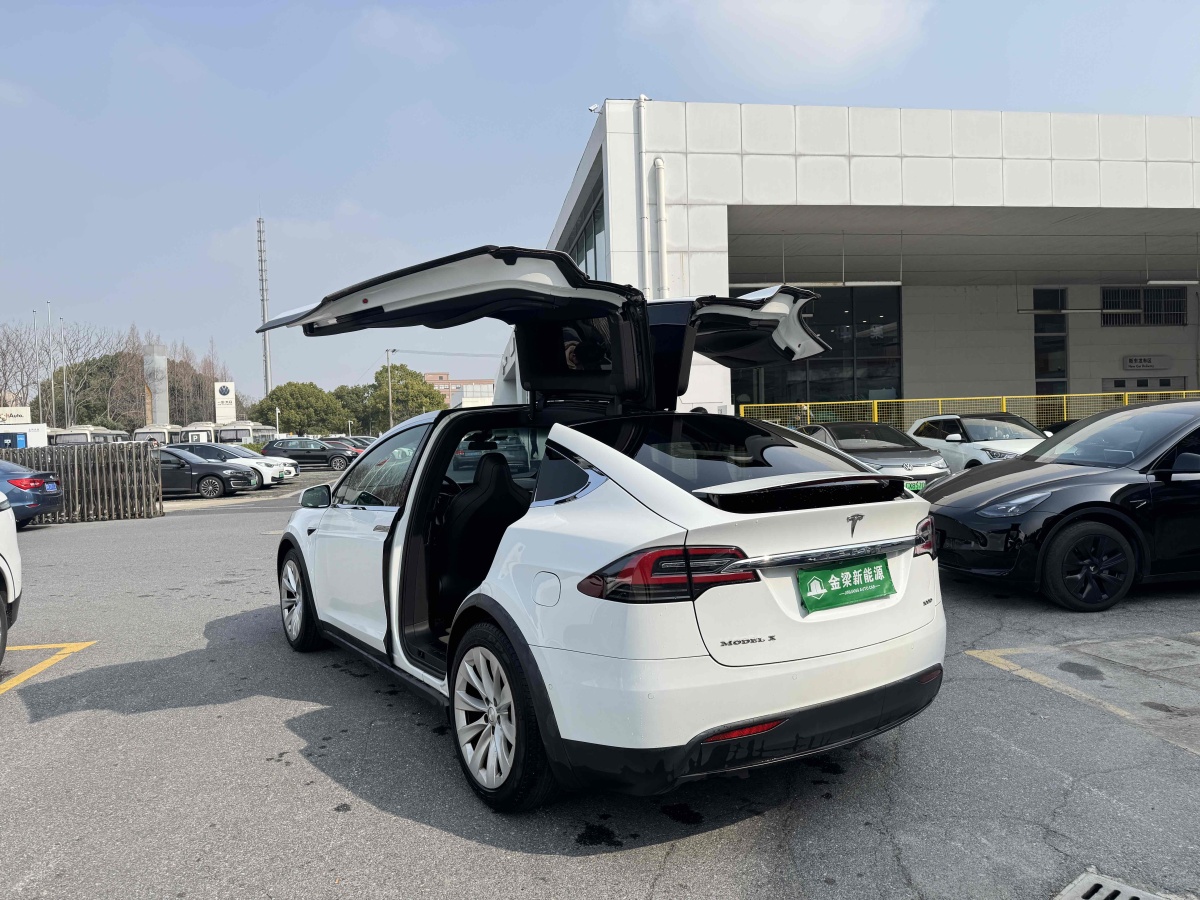 2019年4月特斯拉 Model X  2017款 Model X 100D 長(zhǎng)續(xù)航版