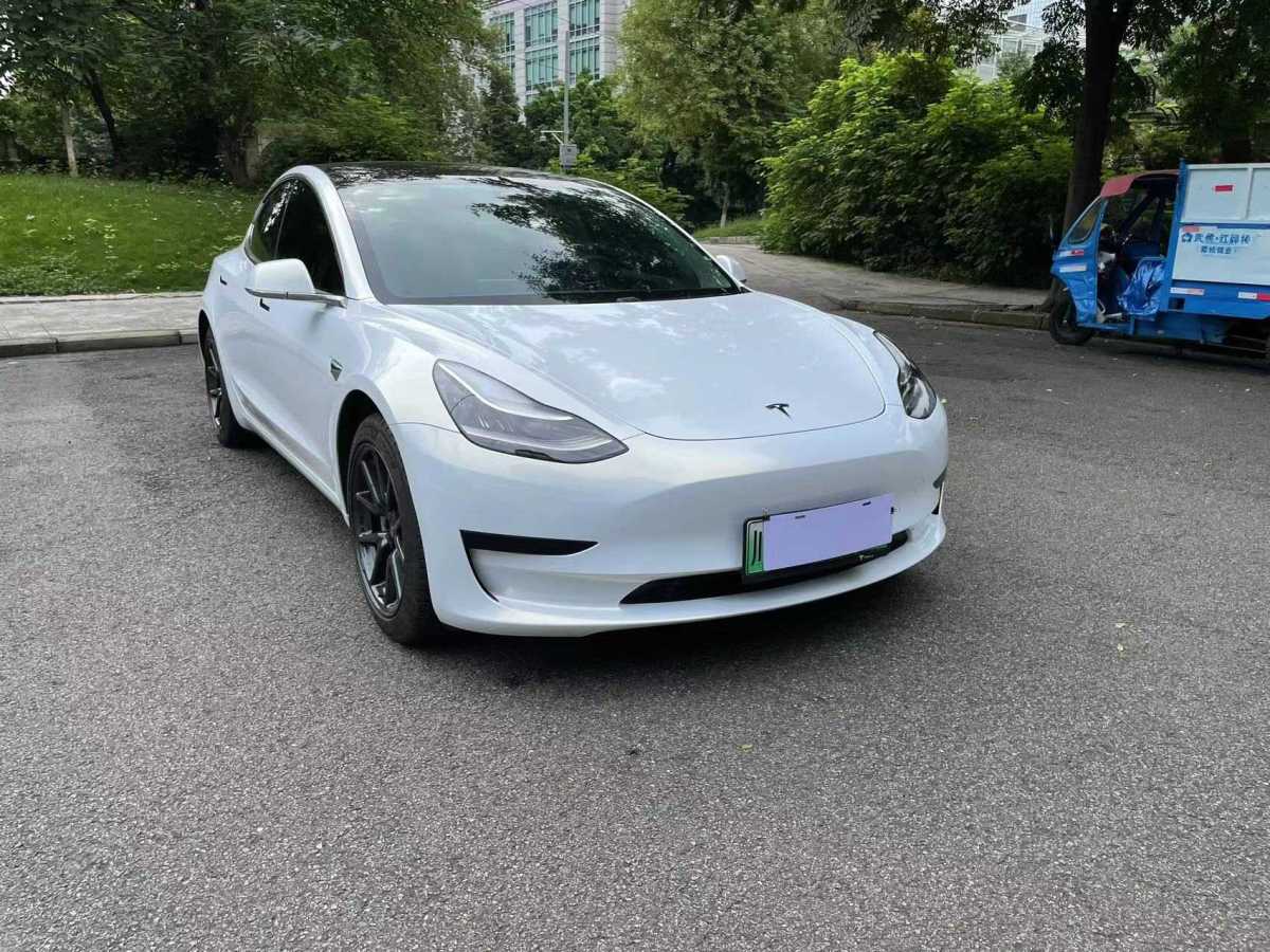 2020年6月特斯拉 Model 3  2019款 標準續(xù)航后驅(qū)升級版