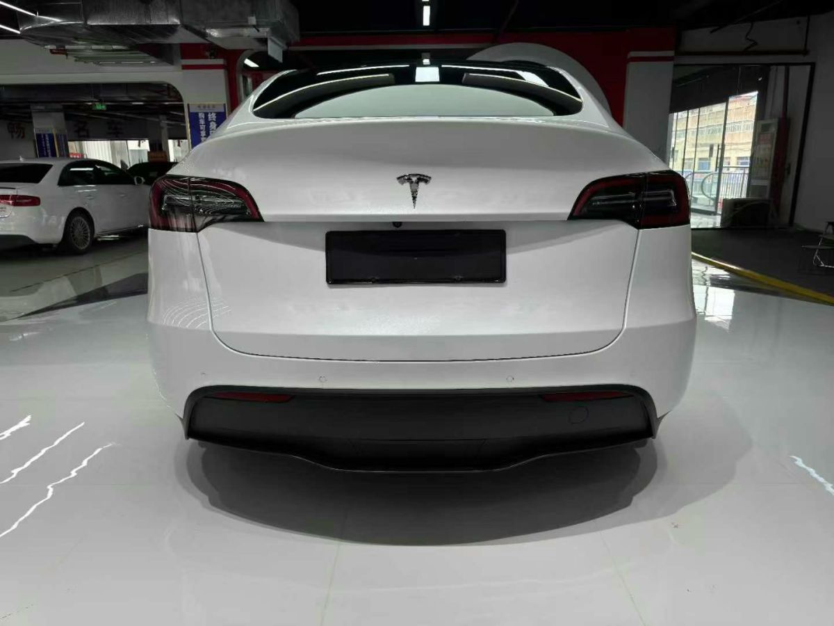 特斯拉 Model Y  2022款 Performance高性能全輪驅(qū)動(dòng)版圖片