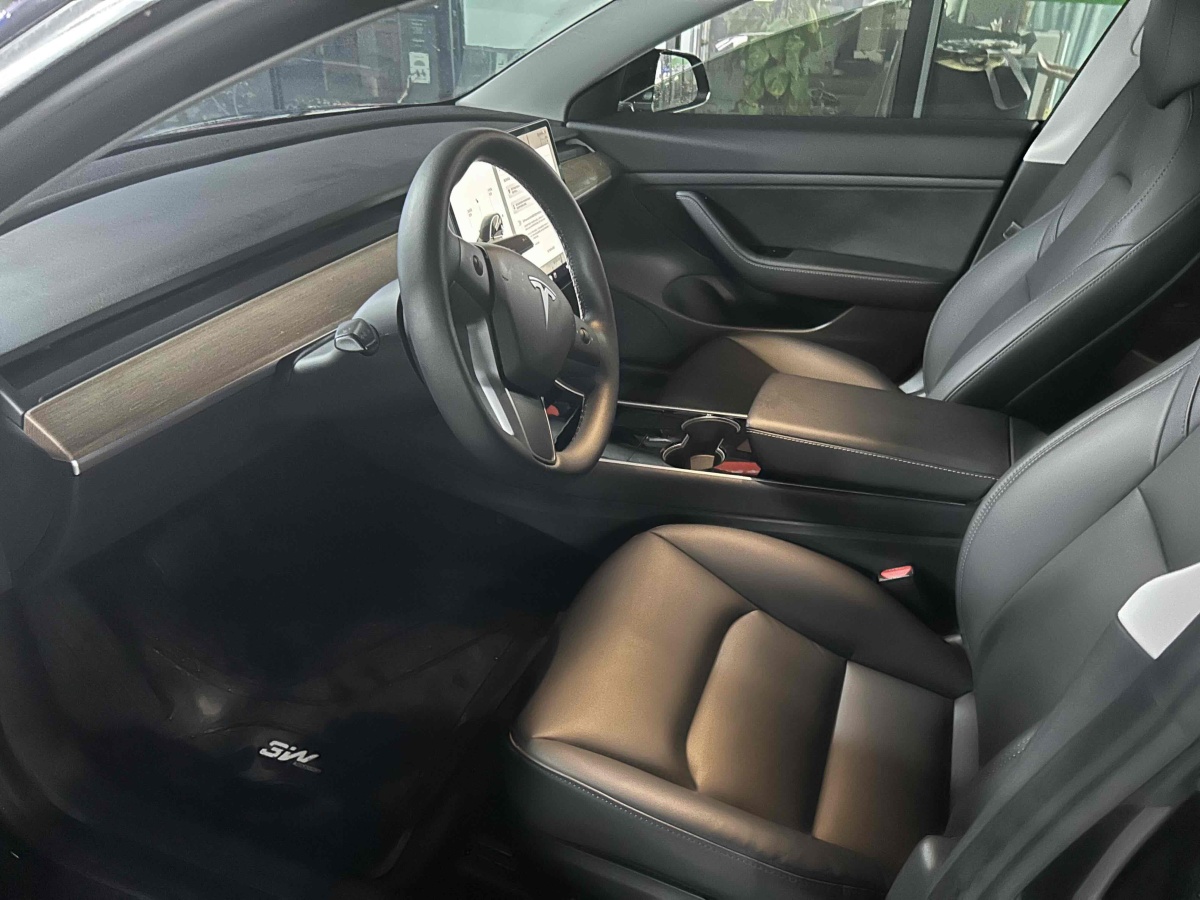 特斯拉 Model 3  2019款 標(biāo)準(zhǔn)續(xù)航后驅(qū)升級(jí)版圖片