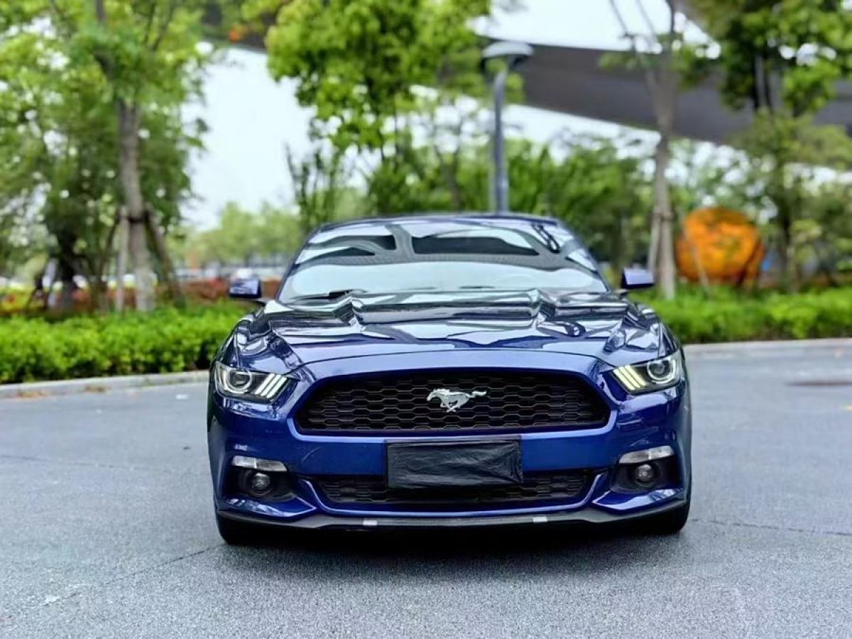 福特 Mustang  2015款 2.3T 性能版圖片