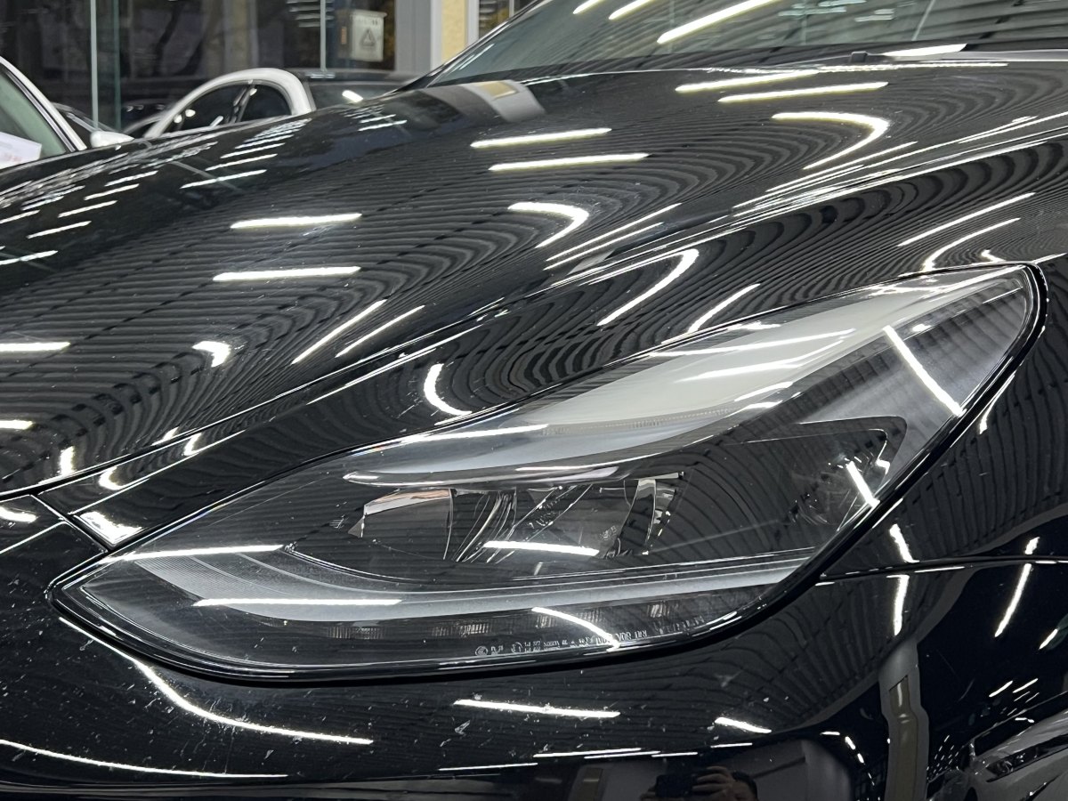 特斯拉 Model Y  2021款 標(biāo)準(zhǔn)續(xù)航后驅(qū)版圖片