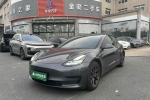 Model 3 特斯拉 标准续航后驱升级版 3D6