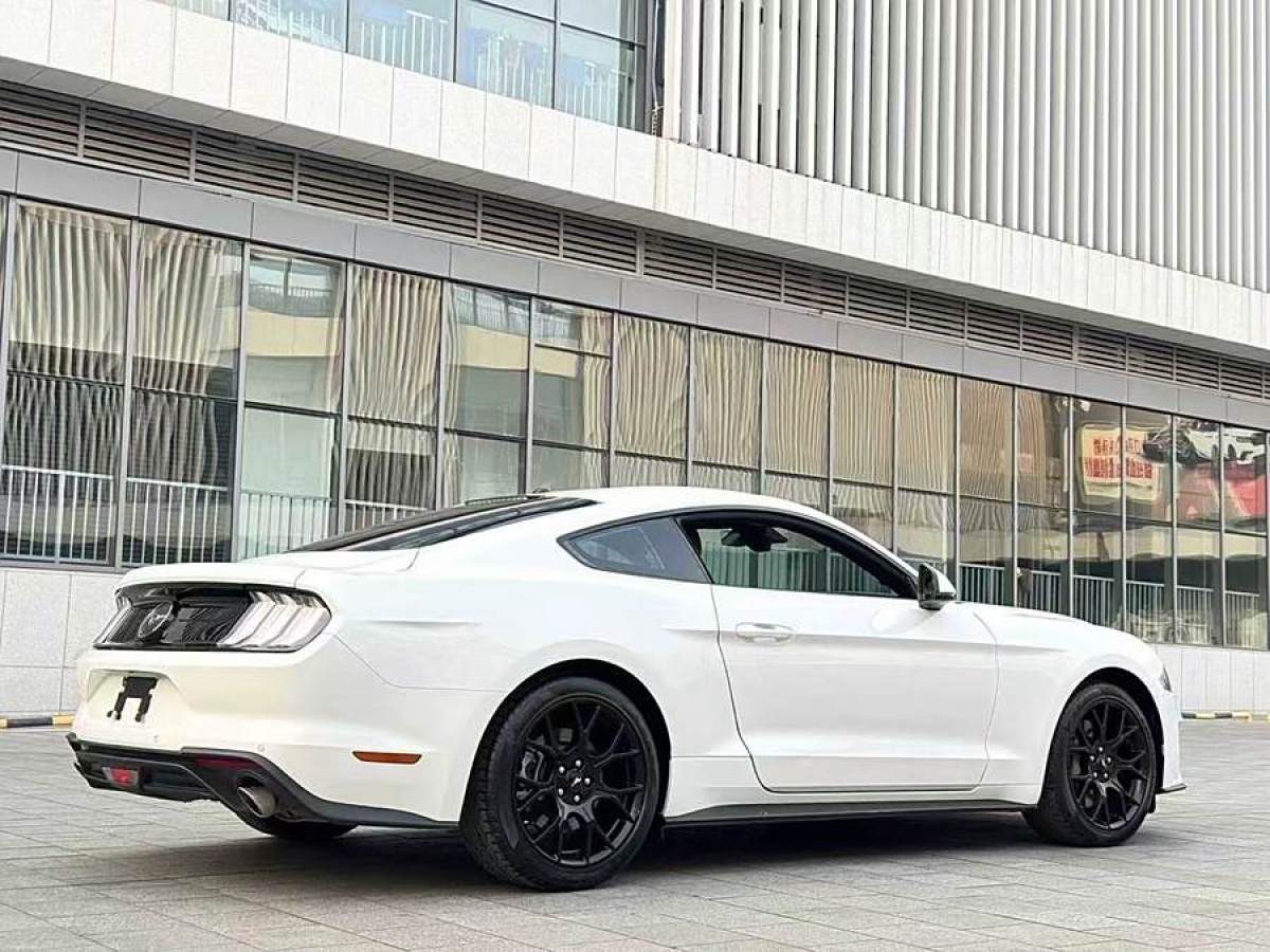 福特 Mustang  2019款 2.3L EcoBoost圖片