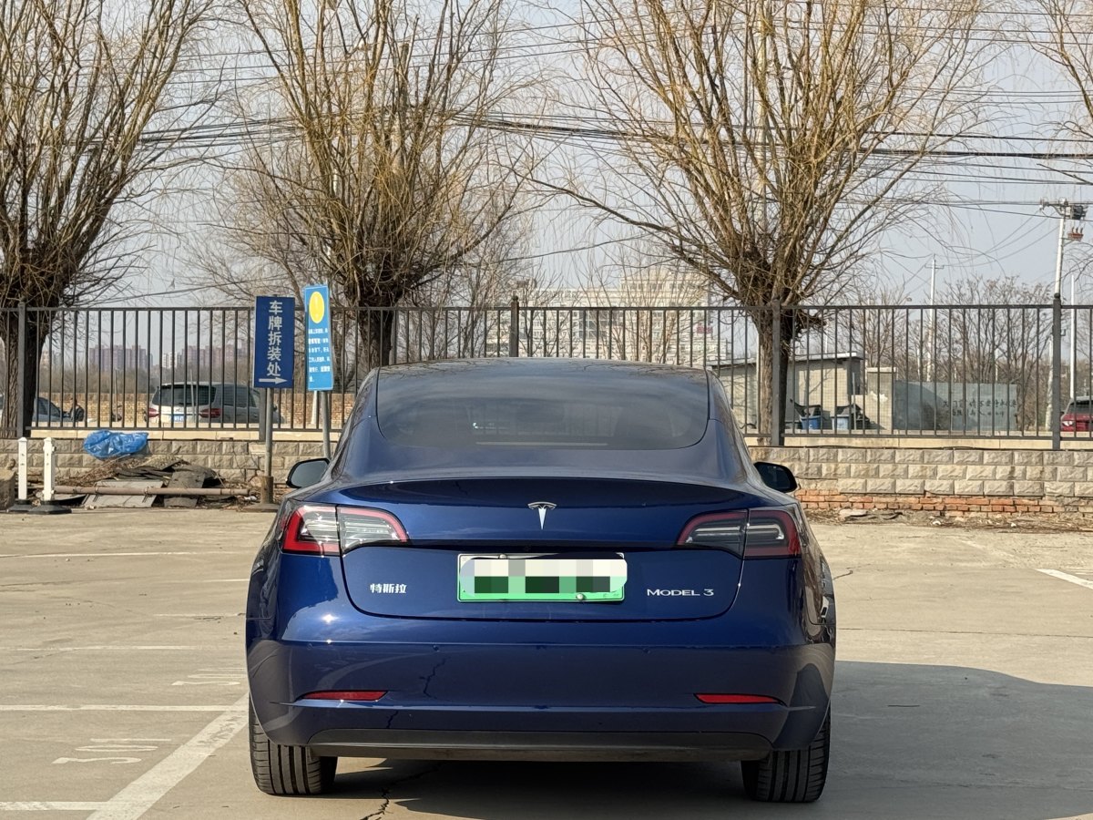 特斯拉 Model 3  2019款 標(biāo)準(zhǔn)續(xù)航后驅(qū)升級(jí)版圖片