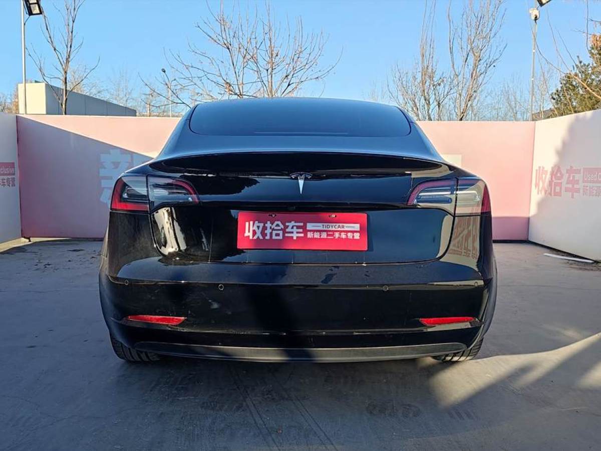 特斯拉 Model 3  2021款 標(biāo)準(zhǔn)續(xù)航后驅(qū)升級(jí)版 3D6圖片