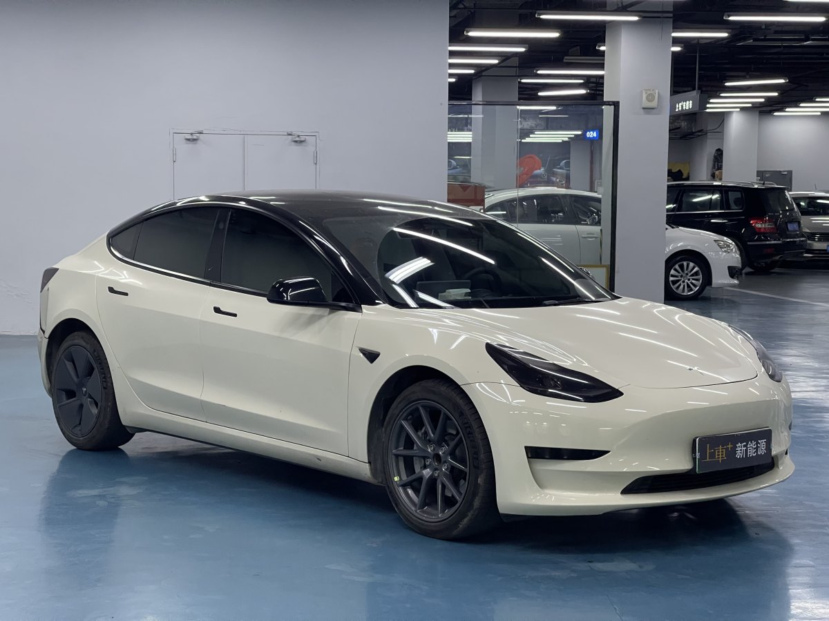 特斯拉 Model 3  2019款 標(biāo)準(zhǔn)續(xù)航后驅(qū)升級(jí)版圖片