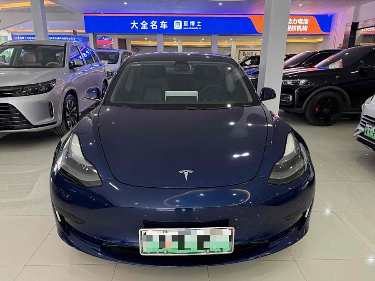 特斯拉 Model 3  2021款 改款 標準續(xù)航后驅升級版圖片