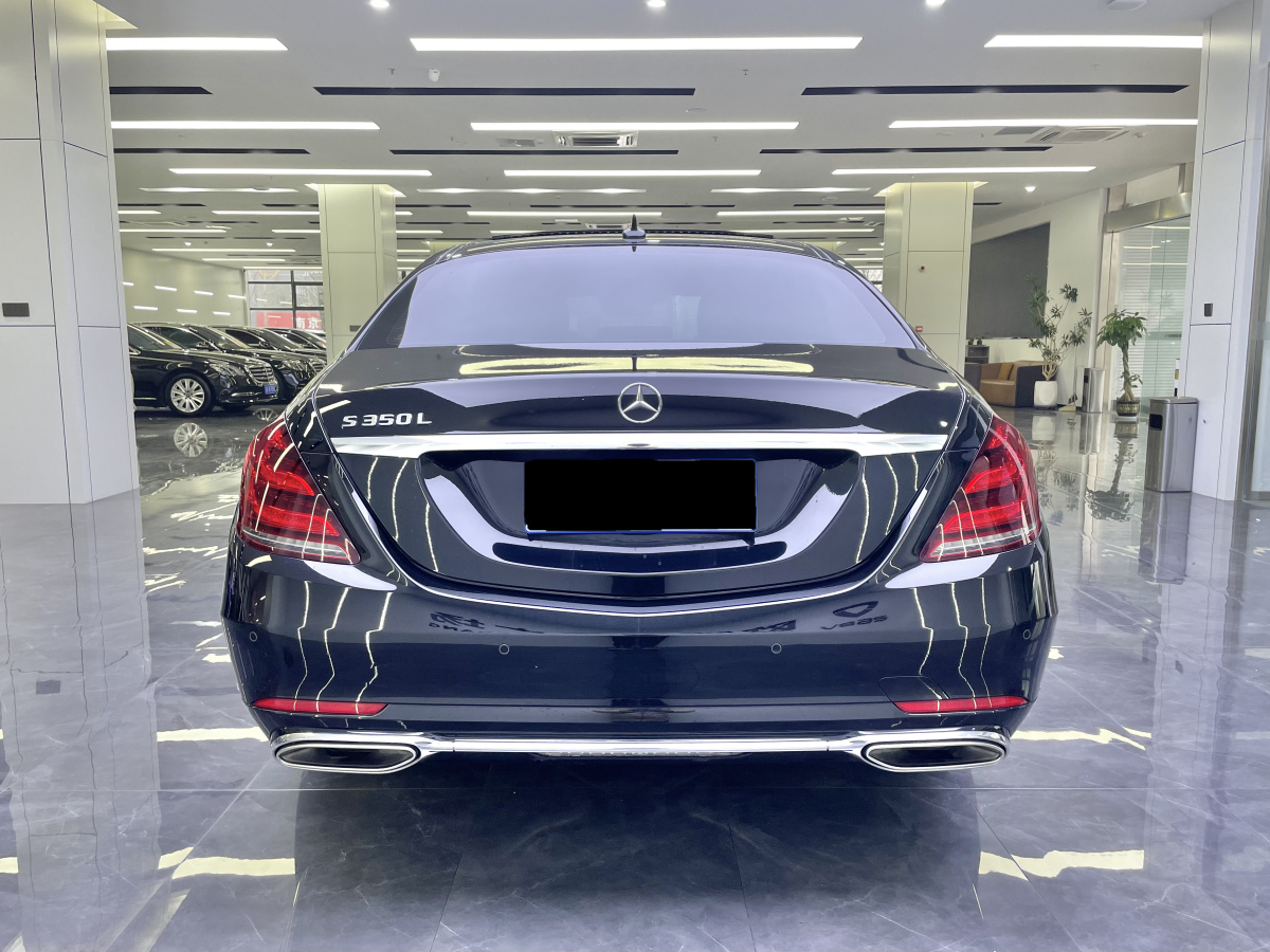 奔馳 奔馳S級  2020款 S 350 L 尊享型 臻藏版圖片