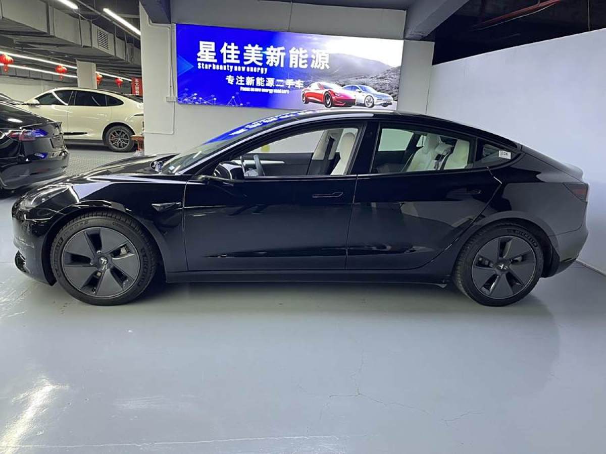 特斯拉 Model 3  2021款 改款 標(biāo)準(zhǔn)續(xù)航后驅(qū)升級版圖片