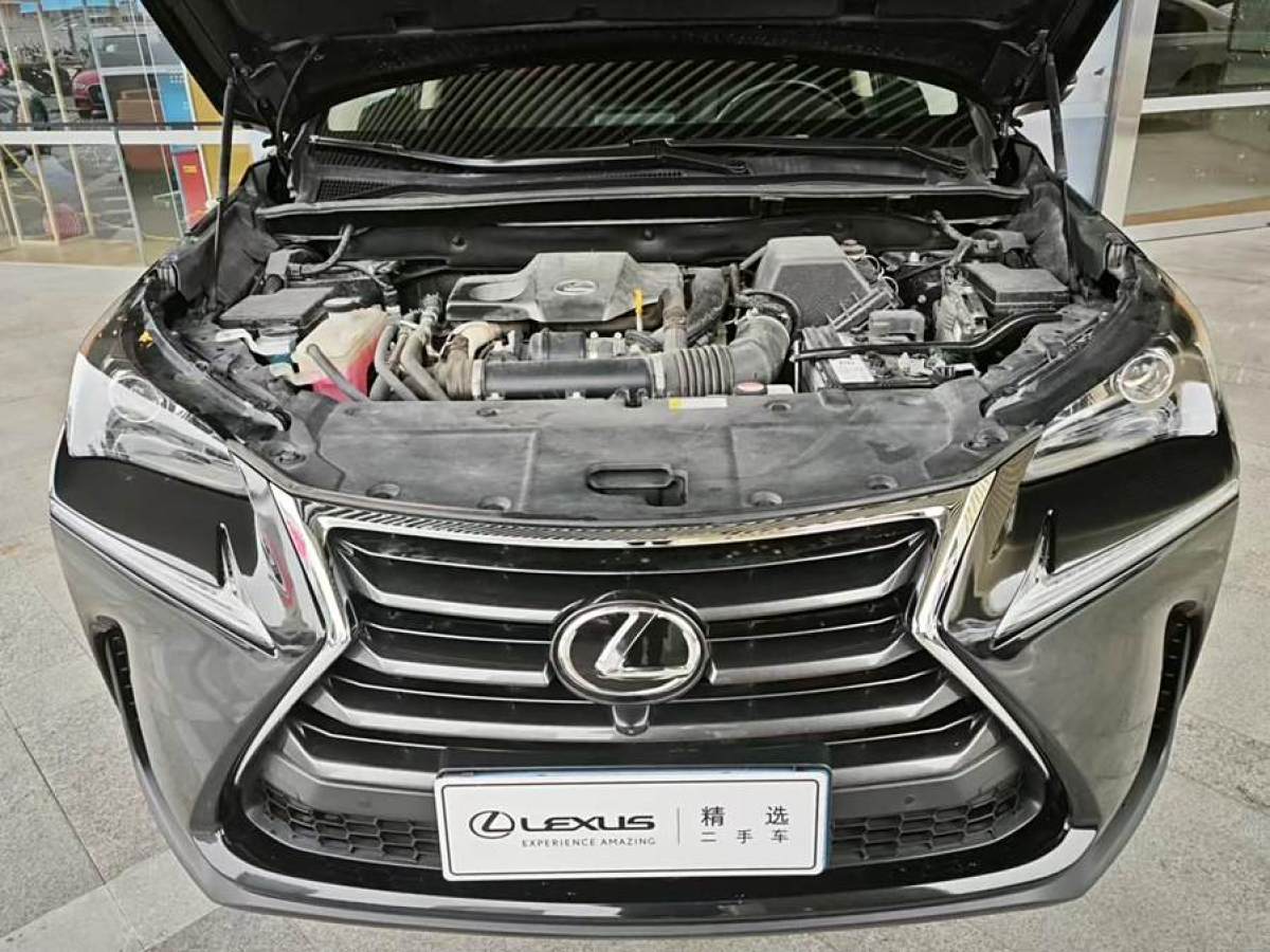 雷克薩斯 NX  2015款 200t 全驅(qū) 鋒尚版圖片