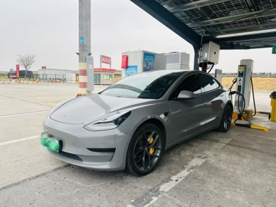 2020年06月 特斯拉 Model 3 標(biāo)準(zhǔn)續(xù)航后驅(qū)升級版圖片