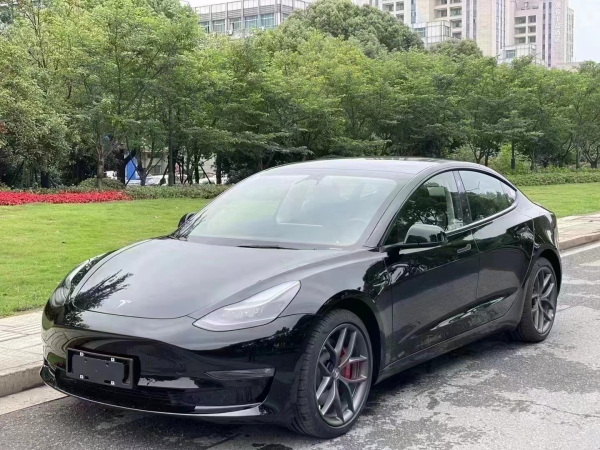 特斯拉 Model 3  2022款 Performance高性能全轮驱动版