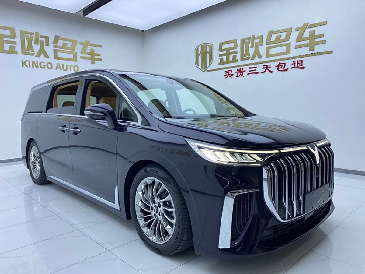 嵐圖 夢(mèng)想家  2024款 PHEV 超長(zhǎng)續(xù)航旗艦版圖片