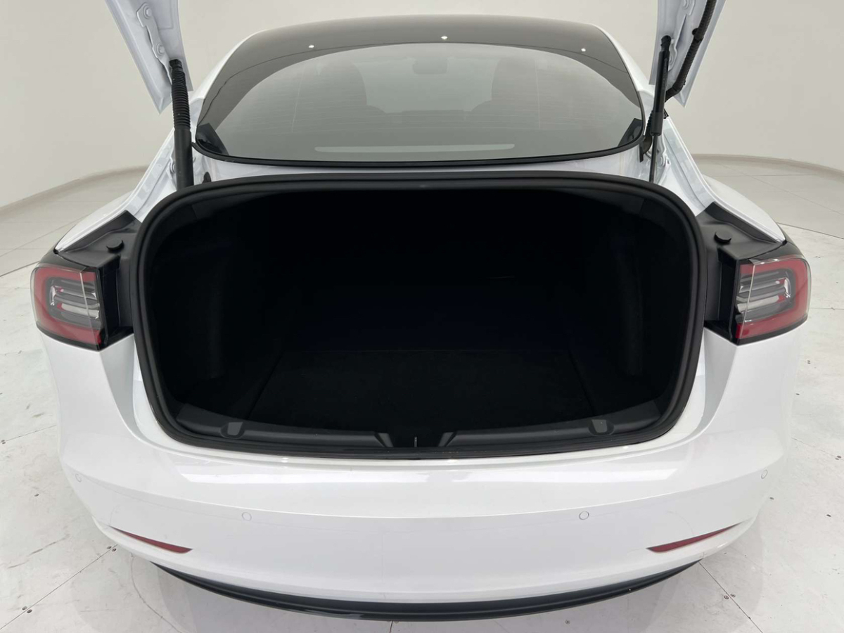 2021年6月特斯拉 Model 3  2019款 標(biāo)準(zhǔn)續(xù)航后驅(qū)升級(jí)版