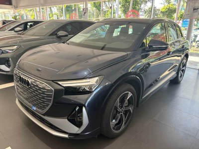 2024年3月 奧迪 奧迪Q4 e-tron 40 e-tron 創(chuàng)境版圖片