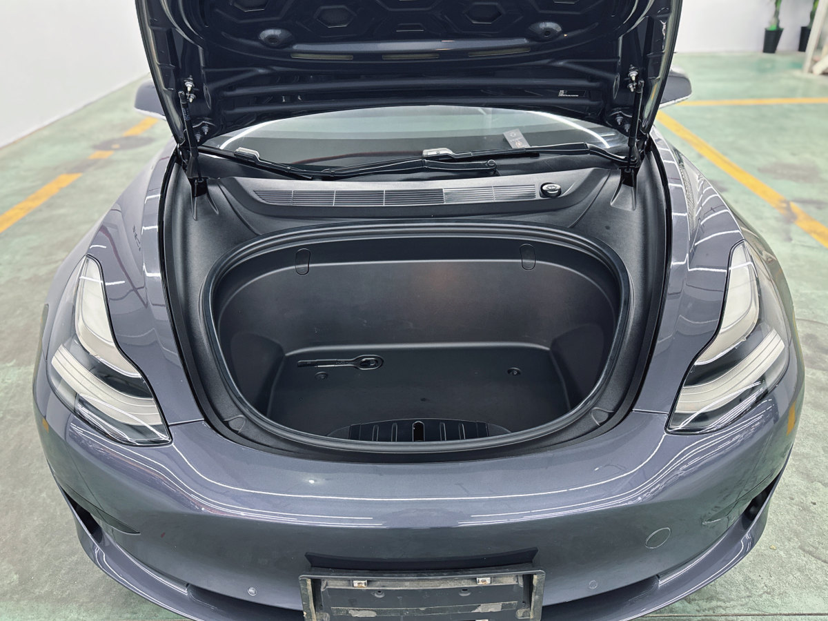 特斯拉 Model 3  2019款 標(biāo)準(zhǔn)續(xù)航后驅(qū)升級版圖片