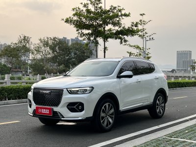 2021年1月 哈弗 H6 1.5GDIT 自动冠军版 国VI图片