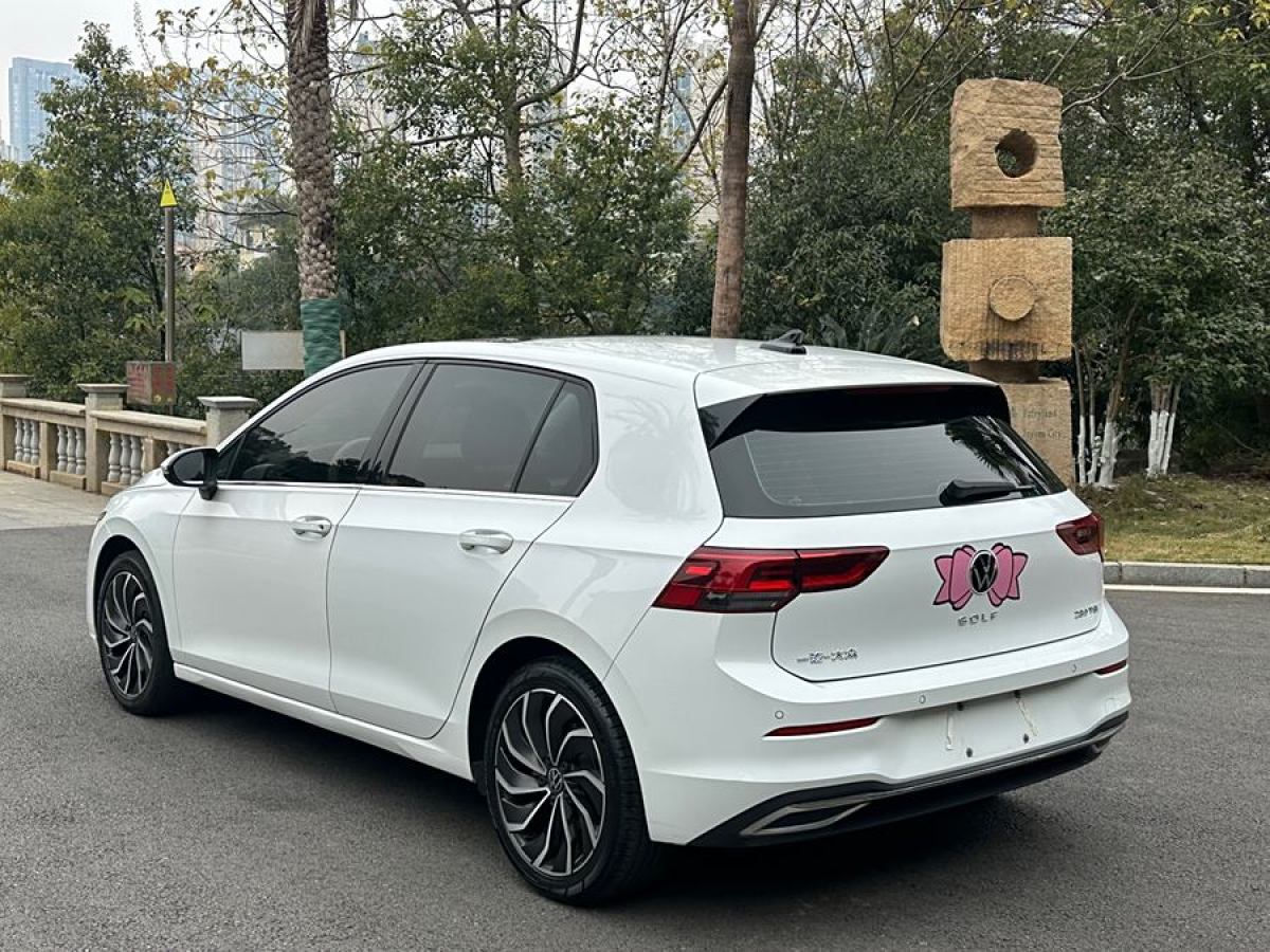 大眾 高爾夫  2021款 280TSI DSG Pro圖片