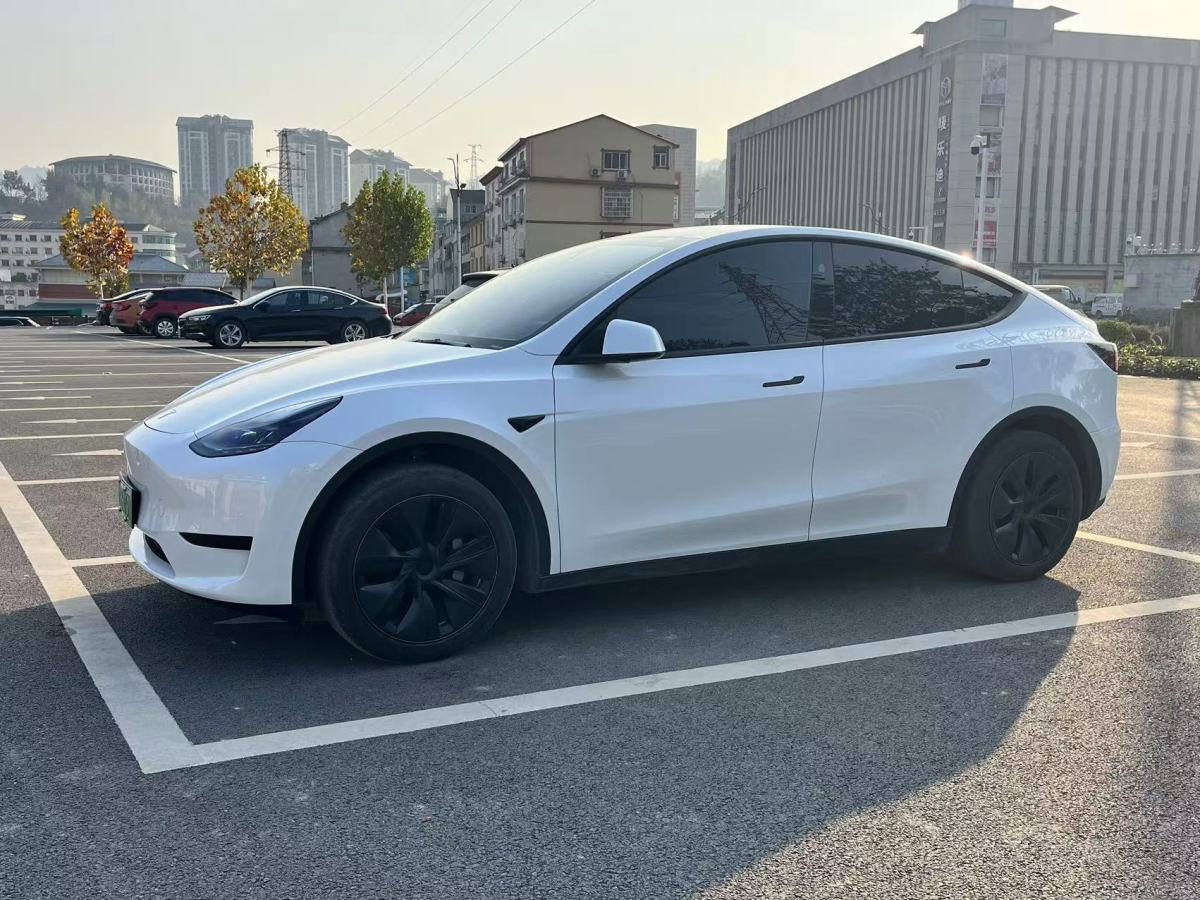 特斯拉 Model 3  2020款 改款 長(zhǎng)續(xù)航后輪驅(qū)動(dòng)版圖片