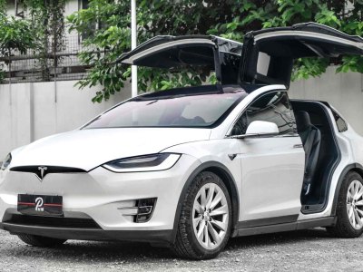 2020年1月 特斯拉 Model X 長續(xù)航版圖片