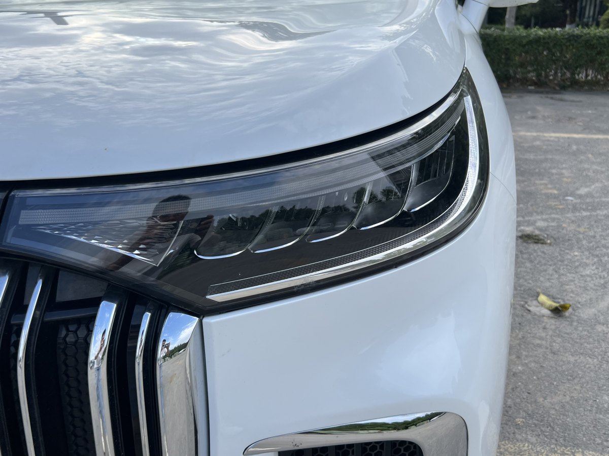 嵐圖 夢想家  2024款 PHEV 超長續(xù)航旗艦版圖片