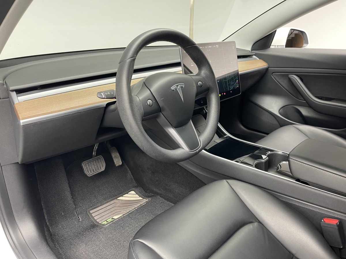 特斯拉 Model 3  2019款 標(biāo)準(zhǔn)續(xù)航后驅(qū)升級(jí)版圖片