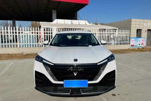 銳騏7 東風(fēng) 2.0T 自動(dòng)兩驅(qū)汽油工程車