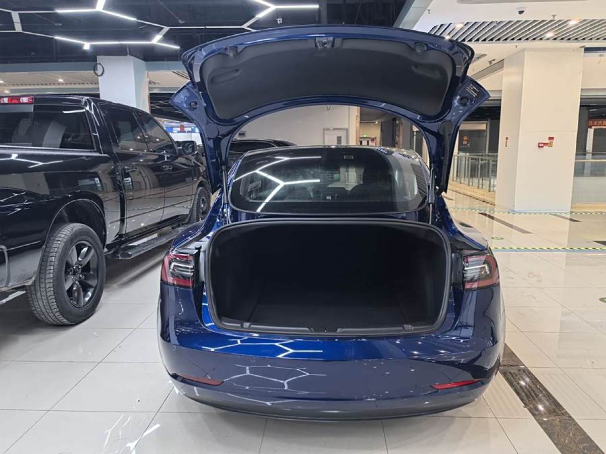 特斯拉 Model Y  2020款 改款 標(biāo)準(zhǔn)續(xù)航后驅(qū)升級(jí)版圖片