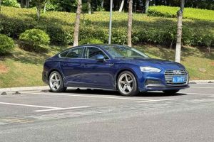 奧迪Q5 奧迪 典藏版 40 TFSI 技術(shù)型