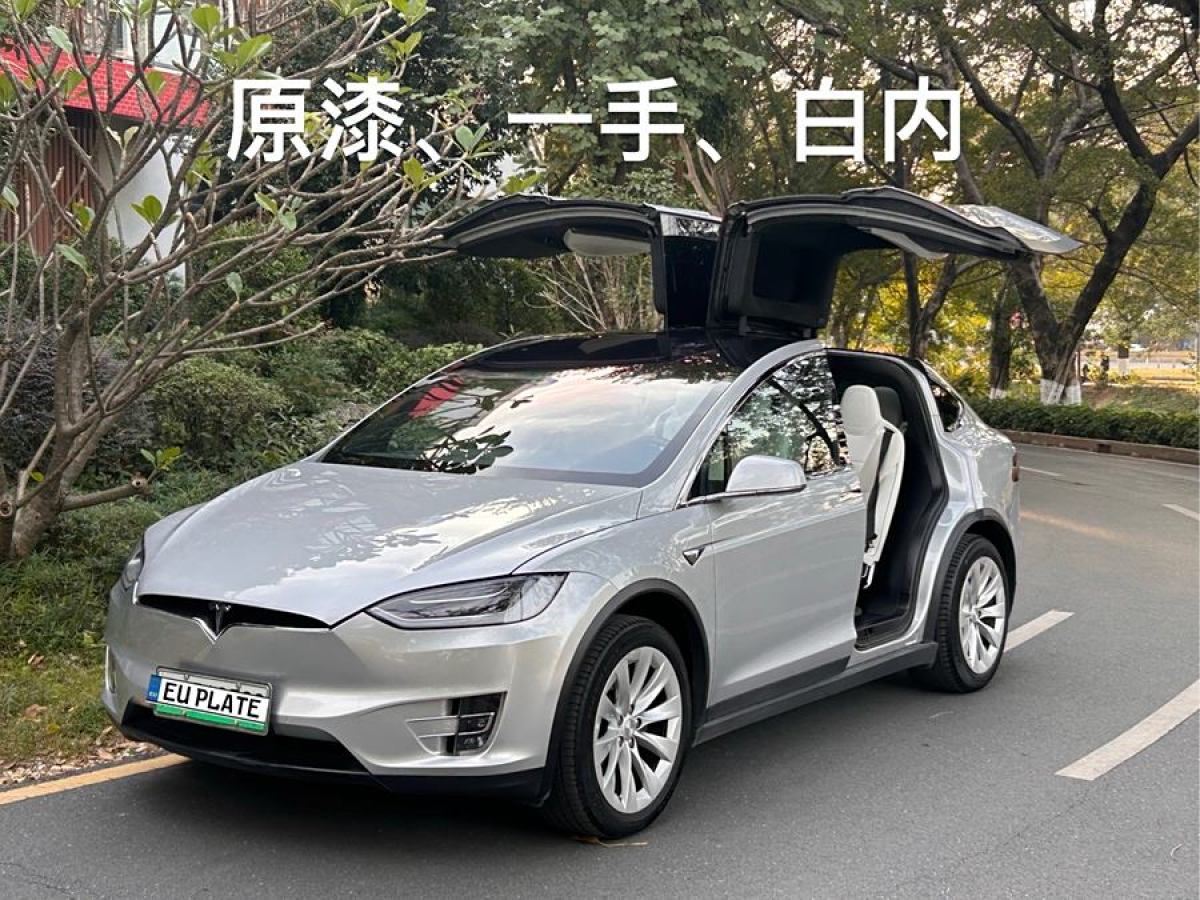 特斯拉 Model X  2016款 Model X 90D圖片