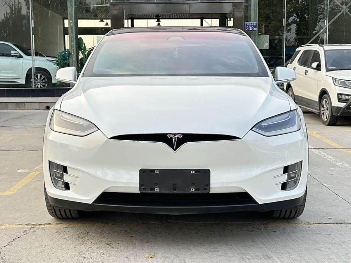 特斯拉 Model X  2019款 標(biāo)準(zhǔn)續(xù)航版圖片