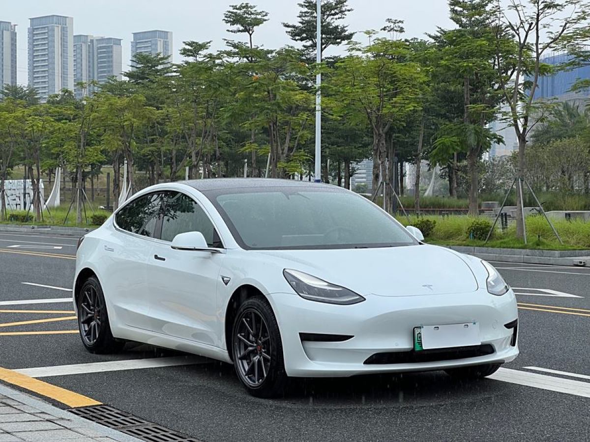 特斯拉 Model 3  2019款 標(biāo)準(zhǔn)續(xù)航后驅(qū)升級版圖片