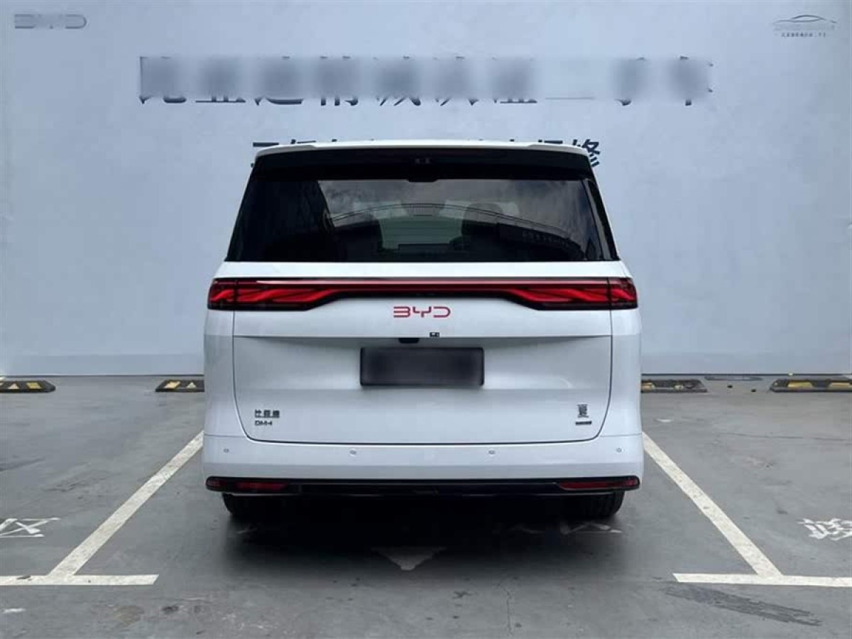 比亞迪 宋Pro新能源  2025款 DM-i 115KM超越型圖片