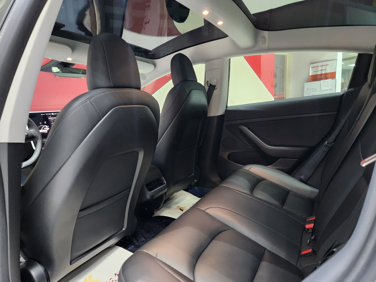 特斯拉 Model 3  2019款 標(biāo)準(zhǔn)續(xù)航后驅(qū)升級版圖片