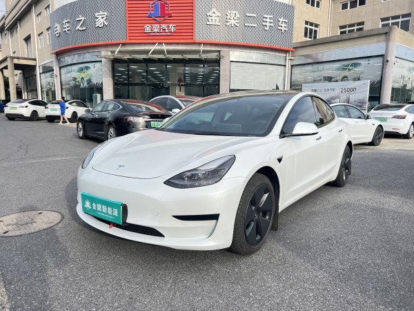 特斯拉 Model Y  2021款 标准续航后驱升级版 3D6