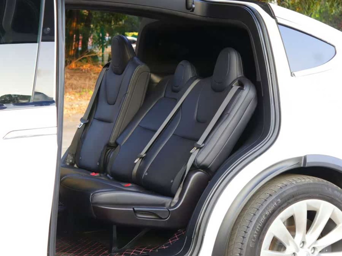 特斯拉 Model X  2020款 長(zhǎng)續(xù)航升級(jí)版圖片